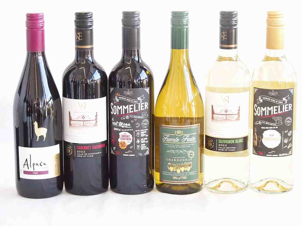 チリワインは、南アメリカに位置するチリの国内で製造されるワインを指します。近年、その品質や価格の手軽さから、ヨーロッパなど世界中の愛好家から注目され、人気の出ているワインの一つです。チリは雨量が少なく日照時間が長い地中海性気候の国で、ワイン...