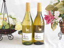 チリワイン2本セット(サンタ ヘレナ