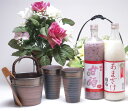 贈り物 日本製萬古焼き 豪華酒器セットZ3陶芸作家　安藤嘉規作（アルコール0％本格甘酒（あまざけ）900ml×2本）セット