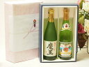 プレミアムギフトボックス芋焼酎魔王セット 甲斐商店 伊佐美芋 25% (鹿児島県) 720ml×2本(4)