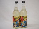 これぞレモン！2本セット(サワー専用 爆レモン) 600ml×2本これぞレモン！2本セット(サワー専用 爆レモン) 600ml×2本