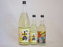 {inC̑f3{Zbg(T[p  T[p 䂸) 600ml~2{ 1800ml~1{