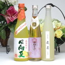 大分県特産品3本セット　天空の月樽熟梅酒　日向夏　梨園　500ml×3本