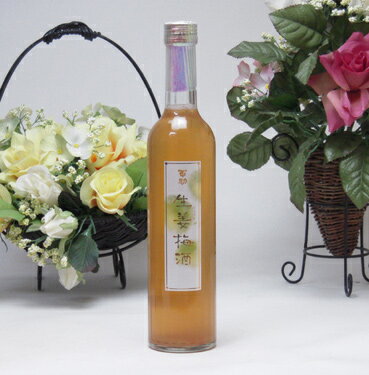 生姜の香り・爽快な味わい！生姜梅酒 500ml井上酒造 百助（大分県）