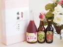【最大2000円オフクーポン11日1:59迄】贈り物鍛高譚クラフトビール3本セット(合同酒精鍛高譚の梅酒12度(北海道) 金しゃちビール抹茶ドラフト(愛知県) 金しゃちビール名古屋赤味噌ラガー(愛知県)) 720ml×1本 330ml×2本