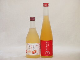 国産りんご酒2本セット(りんごはじめましたりんご梅酒 信州のりんごワイン) 500ml×2本