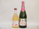 国産りんご酒2本セット(セミスイートアップル(やや甘口) 信州のりんごワイン) 750ml×1本 500ml×1本国産りんご酒2本セット(セミスイートアップル(やや甘口) 信州のりんごワイン) 750ml×1本 500ml×1本