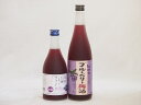 リキュール特集2本セット(信州の巨峰を使ったワインalc.4% 紀州ブルーベリー梅酒) 500ml×1本 720ml×1本