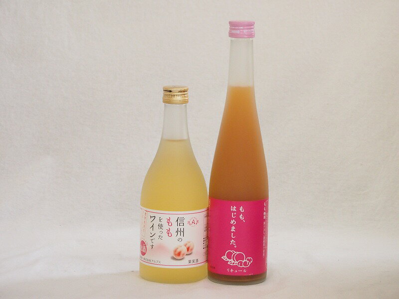 ԡ繥2ܥå(磻Ÿ(Ĺ)  ߼Ϥޤ) 500ml2