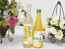 爽やかリキュール2本セット(日向夏果汁リキュール 日向の夏子 12% 宮崎産日向夏みかん使用 日向夏リキュール) 500ml×2本