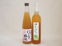 果実リキュール2本セット(国産梅のうめとろ 酒蔵のにごり梅酒) 500ml×2本果実リキュール2本セット(国産梅のうめとろ 酒蔵のにごり梅酒) 500ml×2本