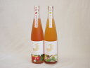 金鯱リキュール2本セット(知多半島の苺酒 山田錦純米吟醸酒仕込梅酒) 500ml×2本