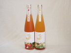 金鯱リキュール2本セット(知多半島の苺酒 山田錦純米吟醸酒仕込梅酒) 500ml×2本