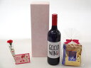母の日 ギフトセット ワインセット 挽き立て珈琲(ドリップパック5パック)(GOODWINe カベルネ&シラーズ 赤750ml ネッド・グッドウィンMW監修 (...