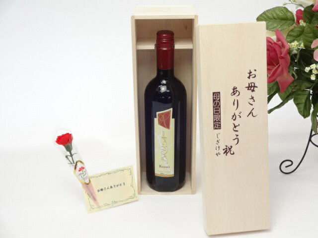 母の日 ギフトセット ワインセット お母さんありがとう木箱セット(ブルーサ　赤ワイン　750ml（イタリア）)母の日カード お母さんありがとうカーネイション