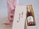 母の日 お母さんありがとう木箱セット 知多半島の苺酒 金鯱(愛知県) 500ml 母の日カードとカーネイション付