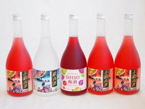 楽しむ鍛高譚5本セット(しそ焼酎鍛高譚20% SHISO梅酒12% 赤鍛高譚20%) 720ml×5本