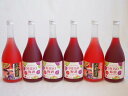 楽しむ鍛高譚6本セット(SHISO梅酒12% 赤鍛高譚20%) 720ml×6本
