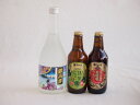 【最大2000円オフクーポン11日1:59迄】鍛高譚とクラフトビール3本セット(合同酒精しそ焼酎 鍛高譚20度(北海道) 金しゃちビール抹茶ドラフト(愛知県) 金しゃちビール名古屋赤味噌ラガー(愛知県)) 720ml×1本 330ml×2本