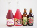 【最大2000円オフクーポン11日1:59迄】鍛高譚とクラフトビール4本セット(合同酒精赤鍛高譚20度(北海道) 合同酒精鍛高譚の梅酒12度(北海道) 金しゃちビール抹茶ドラフト(愛知県) 金しゃちビール名古屋赤味噌ラガー(愛知県)) 720ml×2本 330ml×2本