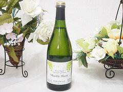 マディ ブラン スパークリング, 無添加, にごり発泡ワイン, オーガニック製法750ml