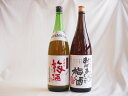 【最大2000円オフクーポン11日1:59迄】梅酒2本セット(おばあちゃんの梅酒 青梅使用小正の梅酒(鹿児島)) 1800ml×2本