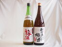 梅酒2本セット(おばあちゃんの梅酒 青梅使用小正の梅酒(鹿児島)) 1800ml×2本梅酒2本セット(おばあちゃんの梅酒 青梅使用小正の梅酒(鹿児島)) 1800ml×2本