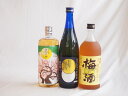【最大2000円オフクーポン11日1:59迄】豪華梅酒3本セット(芋焼酎仕込五代梅酒(鹿児島) 樽熟梅酒天空の月(大分) 無添加上等梅酒(鹿児島)) 720ml×3本