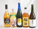 【最大2000円オフクーポン11日1:59迄】豪華梅酒5本セット(芋焼酎仕込五代梅酒(鹿児島) 樽熟梅酒天空の月(大分) 梅酒 鶯の杜(奈良) 芳醇ブランデー仕立チョーヤ梅酒 無添加上等梅酒(鹿児島)) 720ml×5本
