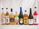 【最大2000円オフクーポン11日1:59迄】豪華梅酒8本セット(芋焼酎仕込五代梅酒(鹿児島) 赤しそ赤い梅酒(和歌山) 樽熟梅酒天空の月(大分) 梅酒 鶯の杜(奈良) 芳醇ブランデー仕立チョーヤ梅酒 蜂蜜梅酒(和歌山) 無添加上等梅酒(鹿児島) 緑茶梅酒(和歌山)) 720ml×8本