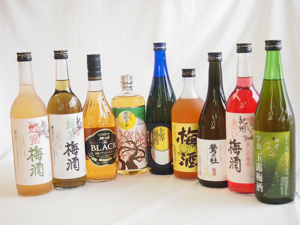 豪華梅酒9本セット(芋