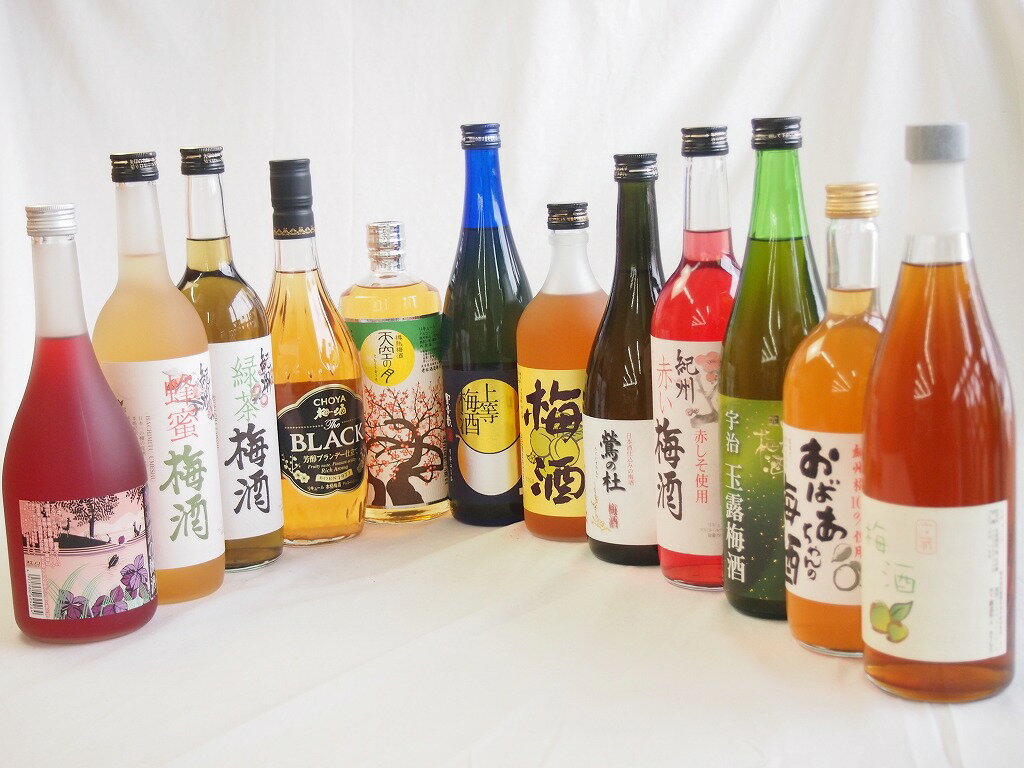 豪華梅酒12本セット(おばあちゃんの梅酒 芋焼酎仕込五代梅酒(鹿児島) 宇治玉露梅酒(京都) 赤しそ赤い梅酒(和歌山) 樽熟梅酒天空の月(大..