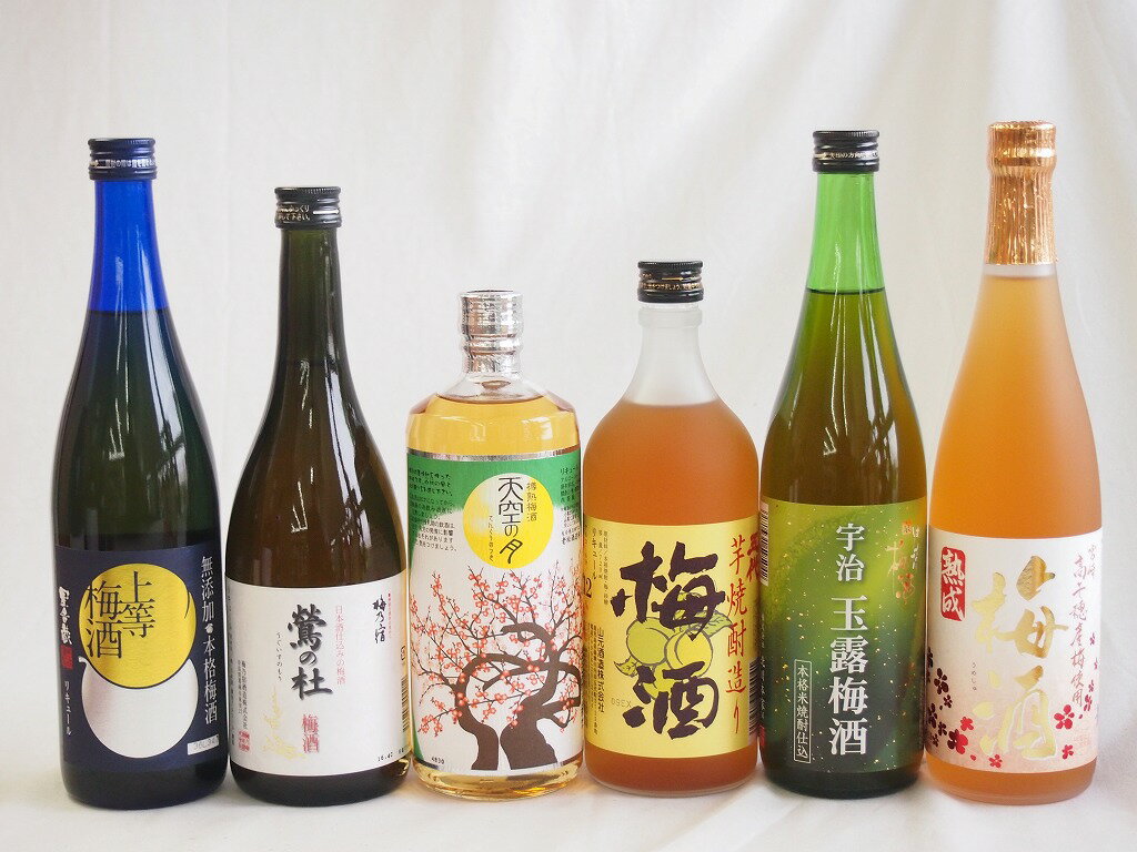 豪華梅酒6本セット(芋焼酎仕込五代