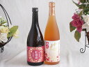 梅酒2本セット(香る南高 紅南高20度(和歌山) 高千穂産梅使用熟成梅酒) 720ml×2本