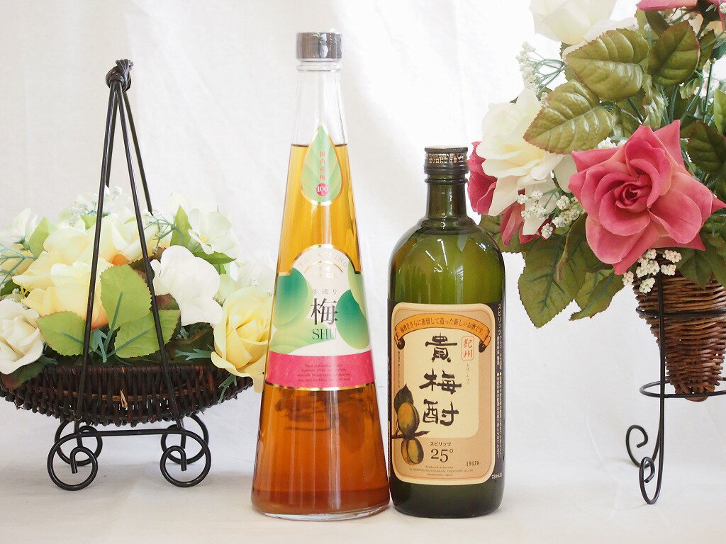梅酒2本セット(貴梅酎スピリッツ25度(和歌山) 手作り梅酒(宮崎県)) 720ml×2本