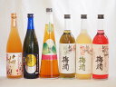 【最大2000円オフクーポン11日1:59迄】スペシャル梅酒6本セット(高千穂産梅使用熟成梅酒 手作り梅酒(宮崎県) 赤しそ赤い梅酒(和歌山) 芳醇ブランデー仕立チョーヤ梅酒 無添加上等梅酒(鹿児島) 緑茶梅酒(和歌山)) 720ml×6本