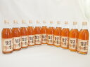【最大2000円オフクーポン26日1:59迄】11本セット(八鹿の酒蔵で造った梅酒(大分)) 500ml×11本(4)