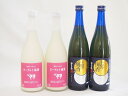 【最大2000円オフクーポン11日1:59迄】梅酒のみ比べ4本セット(ヨーグルト梅酒(福岡) 無添加上等梅酒(鹿児島)) 720ml×4本