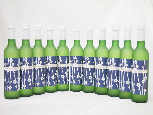 【最大2000円オフクーポン26日1:59迄】11本セット(京都青谷梅わいん(京都)) 500ml×11本 【最大2000円オフクーポン26日1:59迄】11本セット(京都青谷梅わいん(京都)) 500ml×11本
