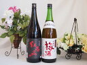 梅酒2本セット(紅南高梅酒20度(和歌山) 青梅使用小正の梅酒(鹿児島)) 1800ml×2本