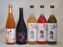 梅酒のみ比べ5本セット(紅南高梅酒20度(和歌山) 高千穂産梅使用熟成梅酒 赤しそ赤い梅酒(和歌山) 蜂蜜梅酒(和歌山) 緑茶梅酒(和歌山)) 720ml×5本梅酒のみ比べ5本セット(紅南高梅酒20度(和歌山) 高千穂産梅使用熟成梅酒 赤しそ赤い梅酒(和歌山) 蜂蜜梅酒(和歌山) 緑茶梅酒(和歌山)) 720ml×5本