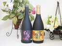 梅酒2本セット(古酒仕込み梅酒 紅南高梅酒20度(和歌山)) 720ml×2本