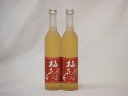 梅酒2本セット(梅花音梅酒(岩手)) 500ml×2本