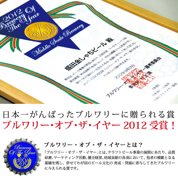 【最大2000円オフクーポン11日9:59迄】金賞受賞 金しゃちビール プラチナエール 330ml（18本入） 盛田金しゃちビール（愛知県）
