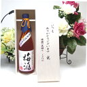 【贈り物限定】 高千穂酒造 宮崎高千穂産梅使用 本格焼酎仕込み梅酒 720ml いつもありがとう木箱セット