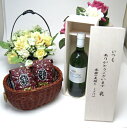 【贈り物限定】 ワインはフランス白と言うお方へキュヴェ・ブレヴァン 白ワイン(フランス)750ml(木箱入)+オススメ珈琲豆(特注ブレンド200g、ハッピーブレ...