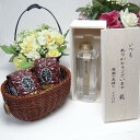 【贈り物限定】 黒木本店 米焼酎 野うさぎの走り 600ml いつもありがとう木箱セット黒木本店 米焼酎 野うさぎの走り 600ml(木箱入)+オススメ珈琲豆(...