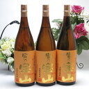 【最大2000円オフクーポン11日1:59迄】【 3本セット】西酒造 芋焼酎 富乃宝山 1800ml×3本