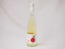 国産フルーツりんごワイン Cider 青森弘前産りんご使用 やや甘口 丹波ワイン (京都府) 500ml(4)