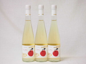 【最大2000円オフクーポン27日1:59迄】3本セット国産フルーツりんごワイン Cider 青森弘前産りんご使用 やや甘口 丹波ワイン (京都府) 500ml×3本